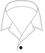casualCollar